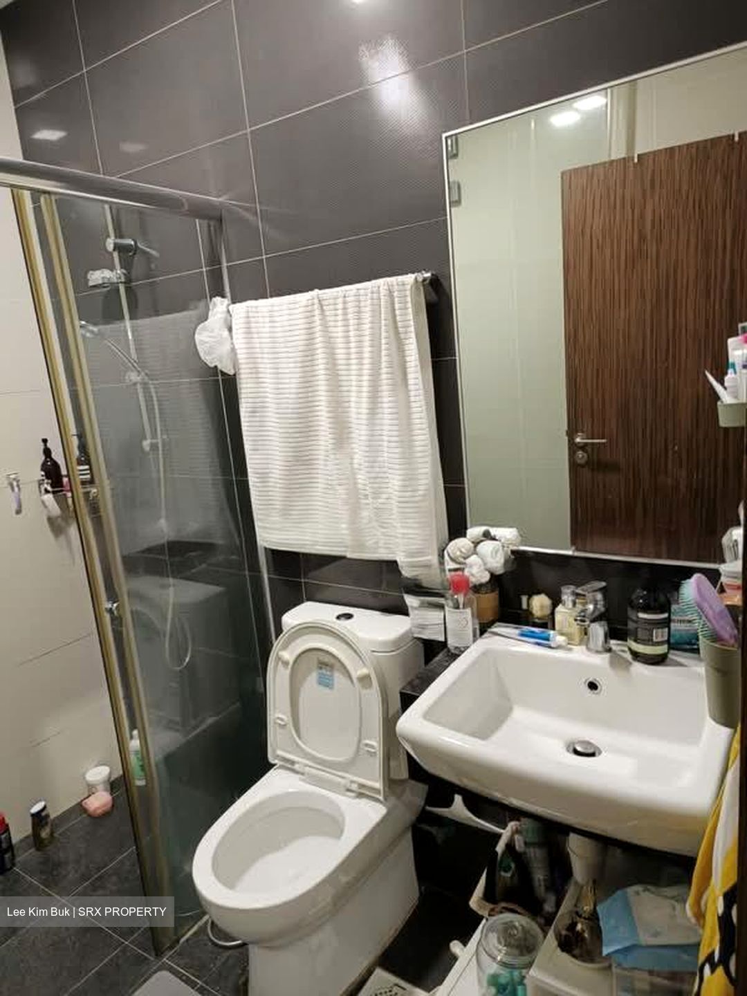 Suites @ Eastcoast (D15), Condominium #580202131